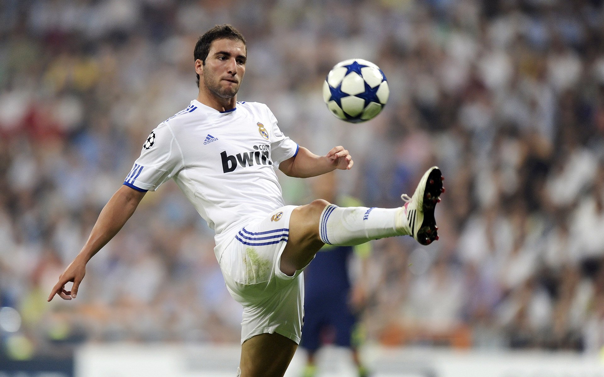 足球运动的奇葩纪录，刷新你的认知！，足球界的奇葩